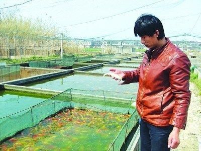 會(huì)城觀嘗龍魚養(yǎng)殖基地【會(huì)城觀賞龍魚養(yǎng)殖基地參觀攻略】