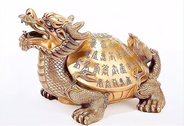 龍龜放魚缸多久見效？