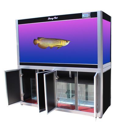 龍魚魚缸廠家電話號(hào)碼多少：如何辨別魚缸材質(zhì)優(yōu)劣,龍魚飼養(yǎng)環(huán)境要求詳解