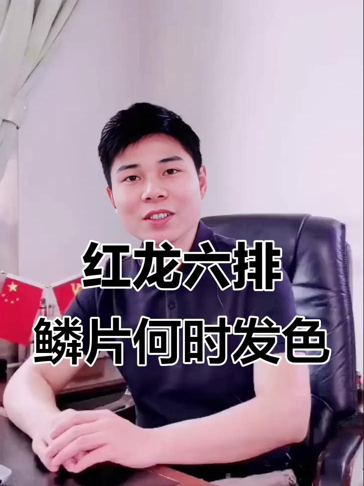 紅龍魚第二鱗框發色失敗怎么辦？