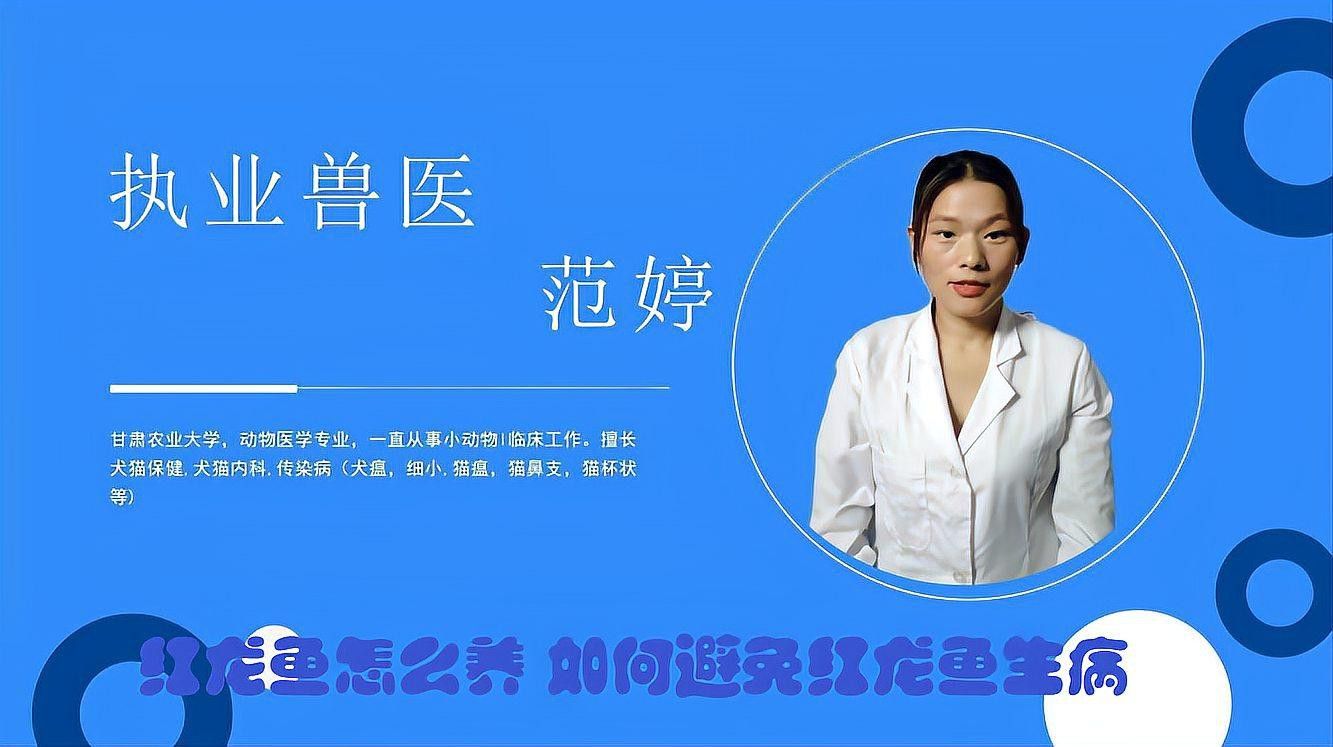 如何預防小紅龍魚疾病？