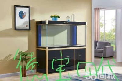 龍魚多寬缸最合適擺放魚缸里：關于龍魚的寬度選擇