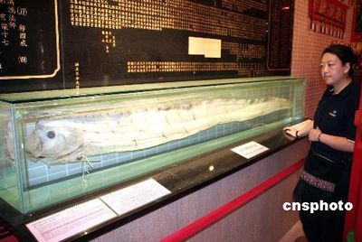 香港一條普通龍魚能賣多少錢（關(guān)于香港普通龍魚的價(jià)格，我們可以得出以下信息）