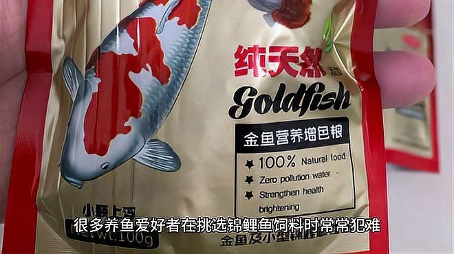 錦鯉飼料十大名牌