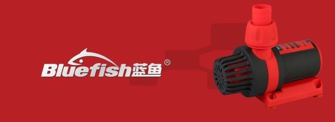 水族箱內光照均勻分布技巧：水族箱光照強度調節方法