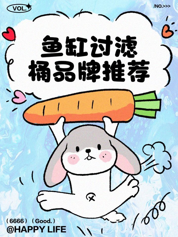 推薦幾款適合龍魚混養(yǎng)的過濾桶品牌