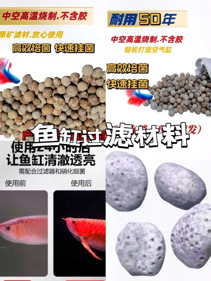 推薦幾款適合龍魚混養(yǎng)的過濾桶品牌