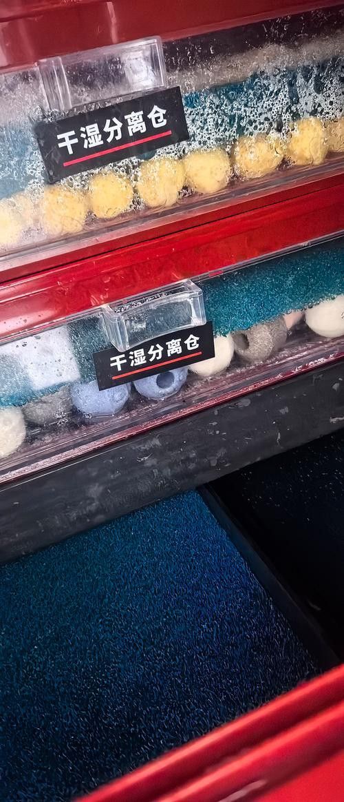 推薦幾款適合龍魚混養(yǎng)的過濾桶品牌