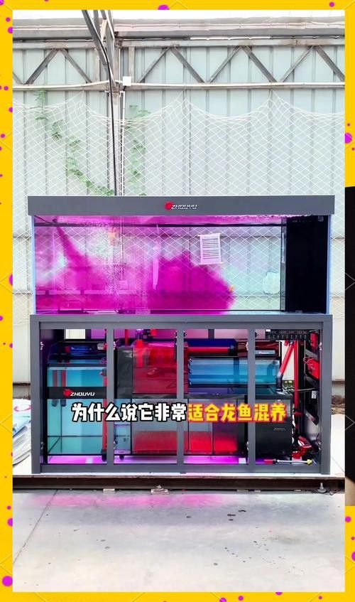 推薦幾款適合龍魚混養(yǎng)的過濾桶品牌