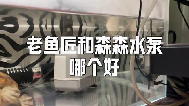 老魚匠和森森哪個品牌好