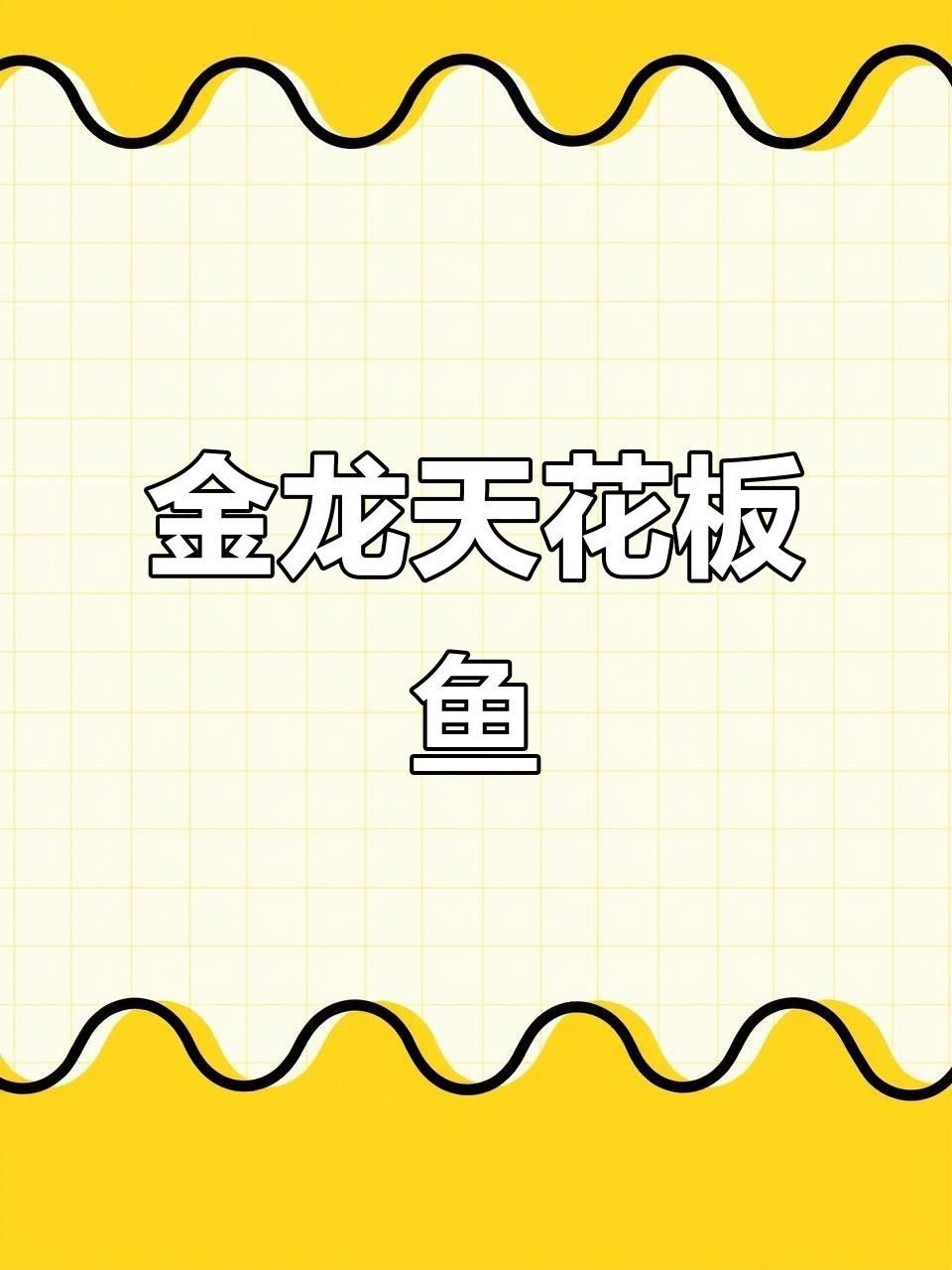 金頭過背金龍魚有何特點？