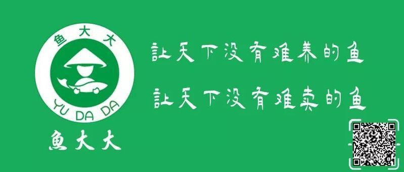 魚腹水最簡單的治療方法