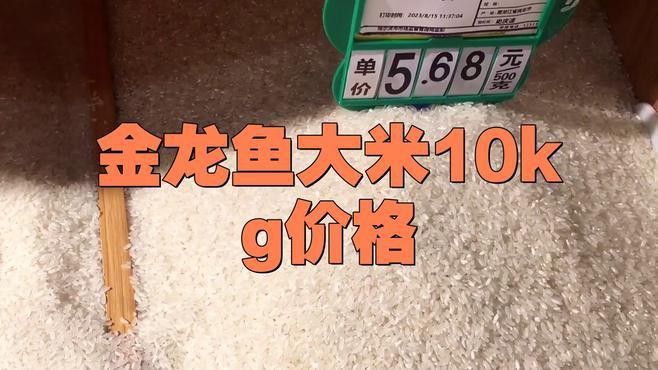 金龍魚稻花香10kg的價格是多少？