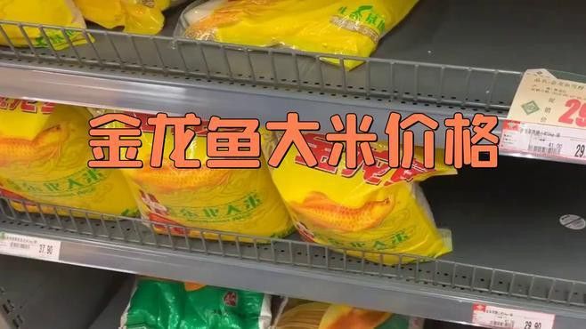 金龍魚稻花香10kg的價格是多少？
