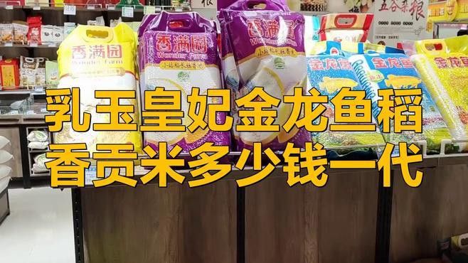 金龍魚稻花香10kg的價格是多少？