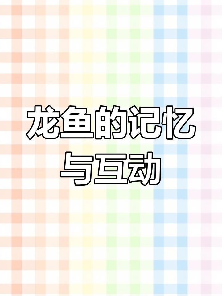 龍魚會認識主人嗎