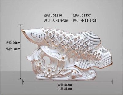 金龍魚規格有幾種型號：金龍魚的規格有幾種型號