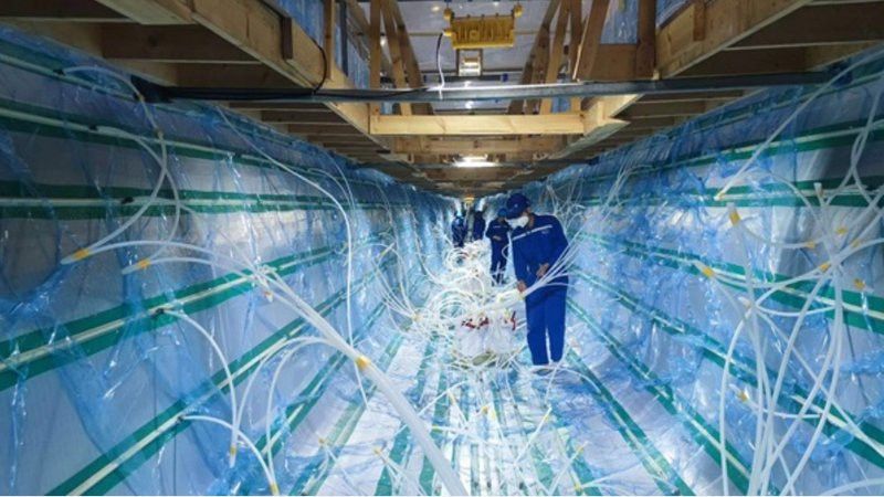金龍魚如何優化全產業鏈綠色轉型？ 金龍魚如何優化全產業鏈綠色轉型？ 龍魚百科 第5張
