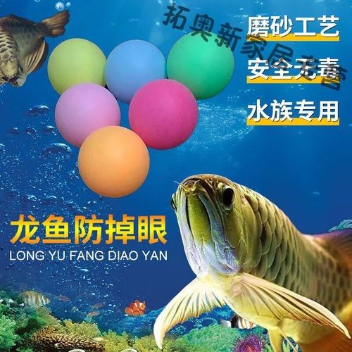 龍魚掉眼手術教程圖解