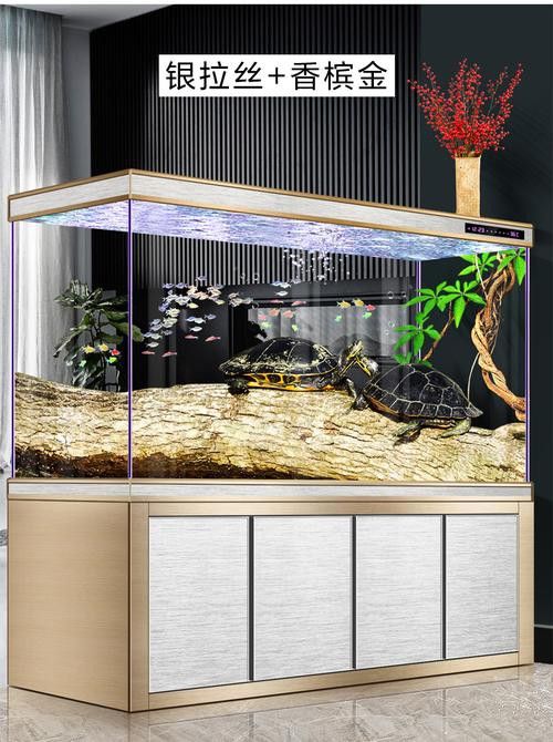 大型龍魚缸效果圖大全圖片