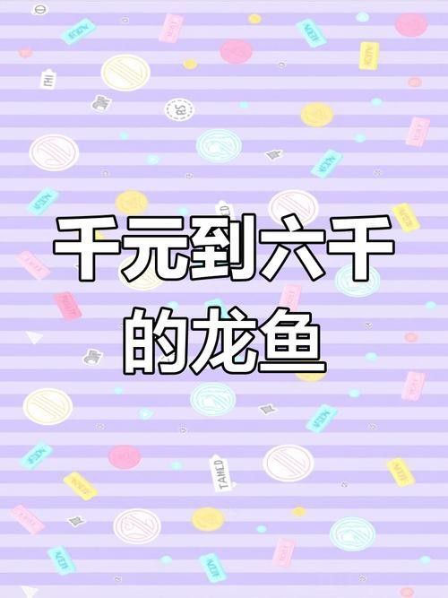 山西龍魚價格最新行情圖片大全