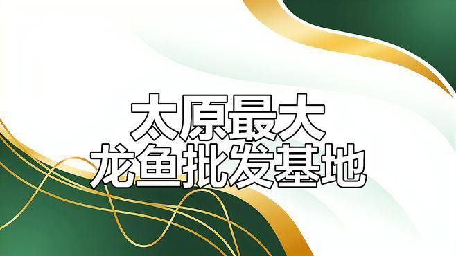 山西龍魚價格最新行情圖片大全