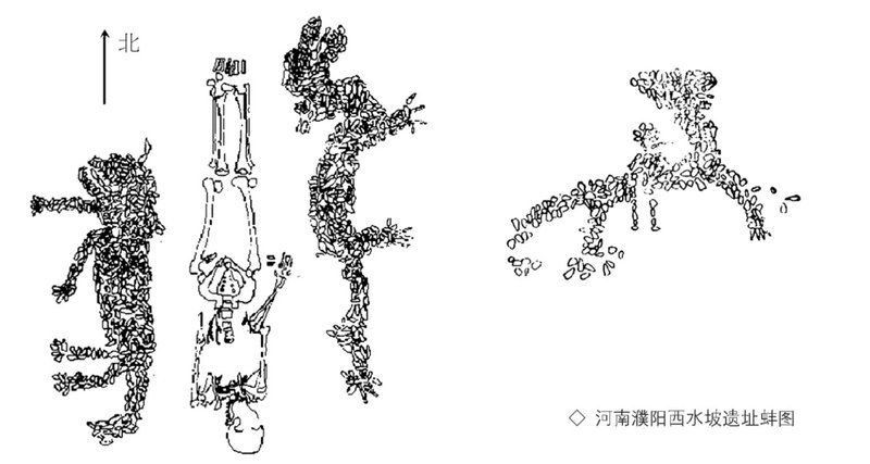 龍為什么是中國的圖騰