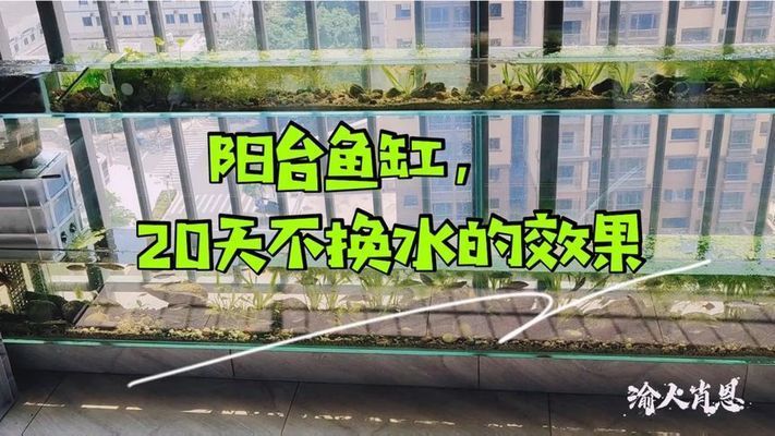 魚缸一定要換水嗎,不換水會怎么樣（如何正確去除魚缸中的氯氣換水的最佳時間和頻率）
