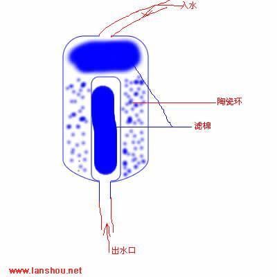 金龍魚為什么一直呆在出水口：金龍魚為什么一直呆在出水口可能是因為水中缺氧或水質問題