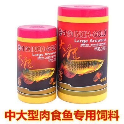 龍魚又叫什么名字：龍魚的別稱及其詳細(xì)信息，龍魚的飼養(yǎng)技巧有哪些