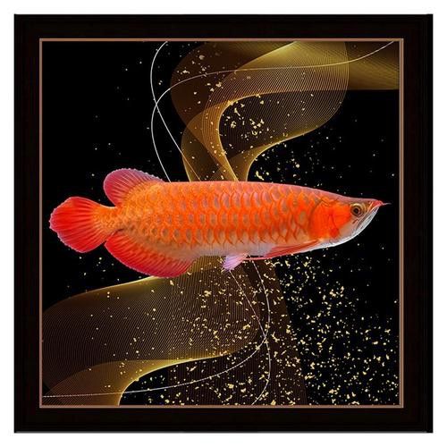 微信頭像圖片 龍魚 微信頭像圖片 龍魚 龍魚百科 第15張