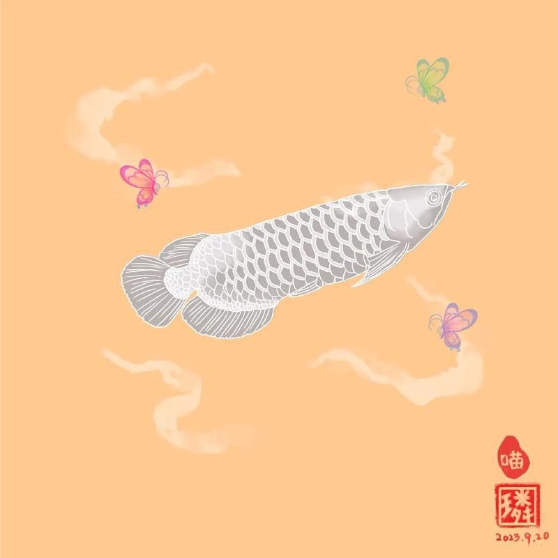 微信頭像圖片 龍魚 微信頭像圖片 龍魚 龍魚百科 第14張