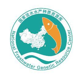 金龍魚為什么從口吐卵