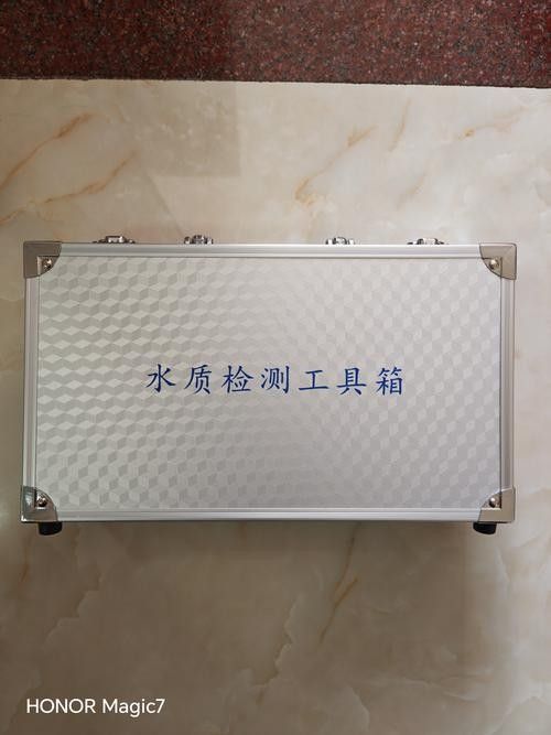 銀龍魚怎么養(yǎng)及喂養(yǎng)技巧視頻教程大全圖解