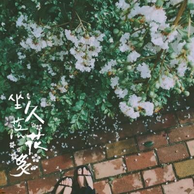 錦鯉 什么意思