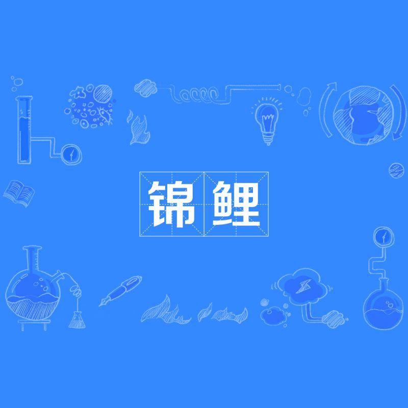 錦鯉 什么意思