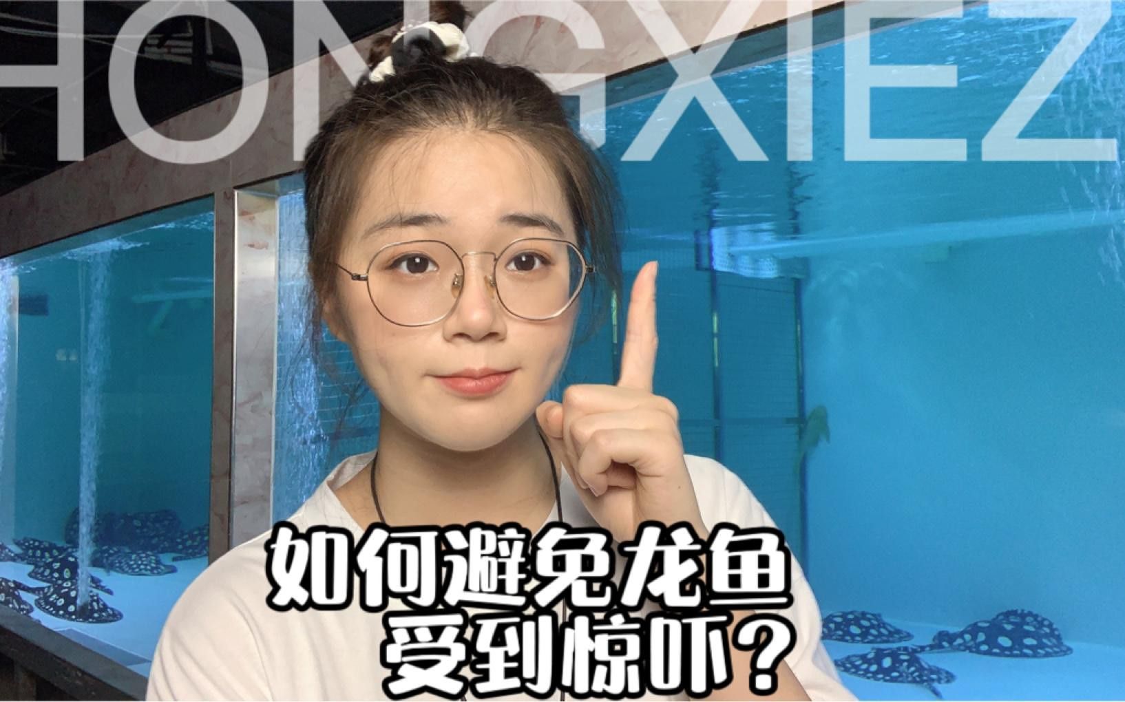 如何預防龍魚受到驚嚇？
