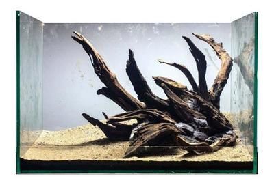 龍魚缸沉木造景技巧龍魚缸沉木造景技巧龍魚缸造景技巧：龍魚缸沉木最佳造景方法