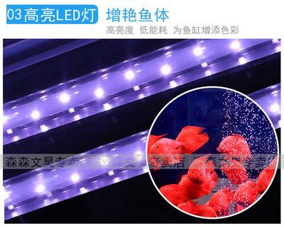 龍魚缸用什么燈比較好（如何選擇龍魚缸的燈光）