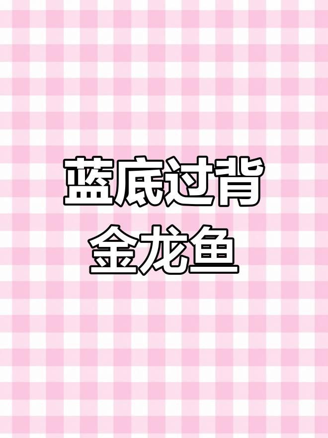 如何判斷過背藍金龍魚的品相？