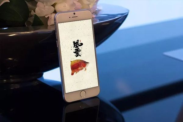 龍魚壁紙超清手機：如何獲取和使用高清龍魚壁紙