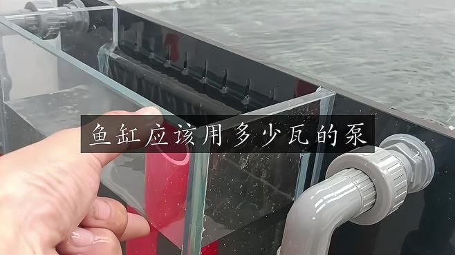 龍魚缸需要多大的功率水泵