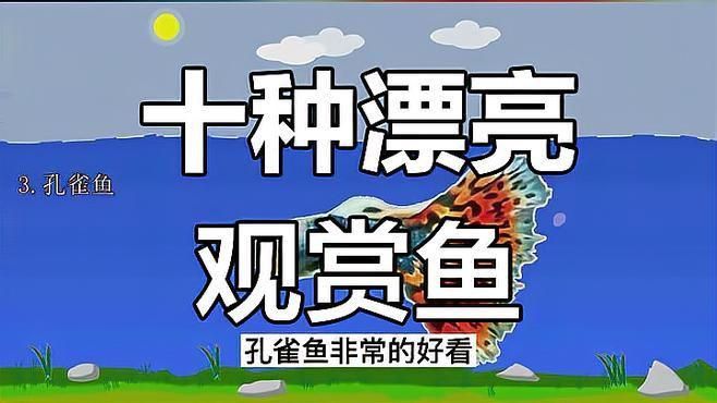 顏值最高的魚