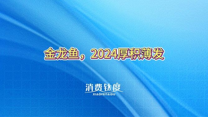 金龍魚的框是什么樣子（金龍魚的“框”通常指的是其鱗片邊緣的顏色區(qū)域）