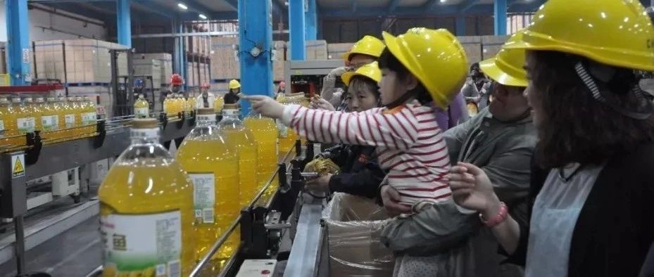 金龍魚的框是什么樣子（金龍魚的“框”通常指的是其鱗片邊緣的顏色區域）