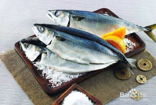 龍魚爛鰭爛尾原因：龍魚爛鰭爛尾的原因