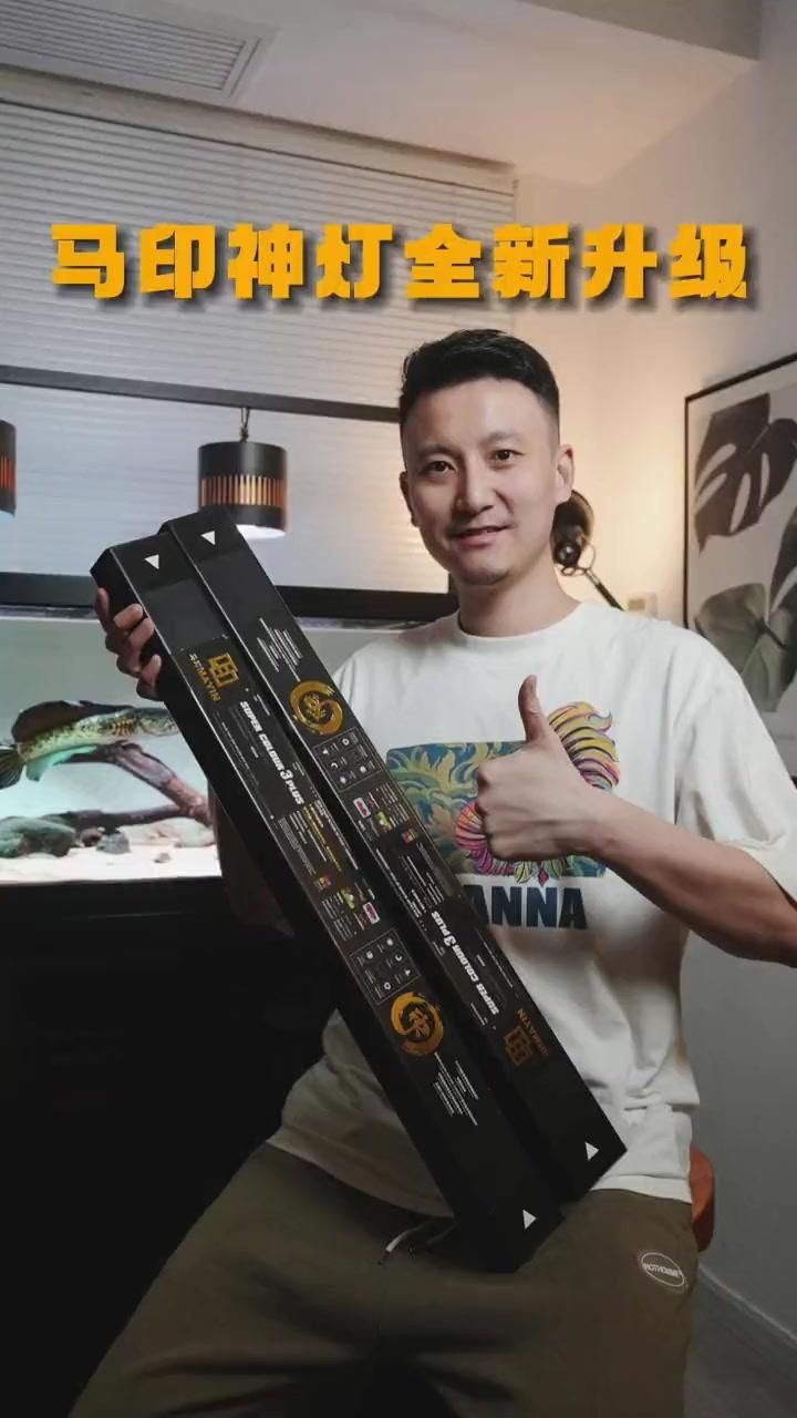 馬印神燈雷龍專用增艷增色燈