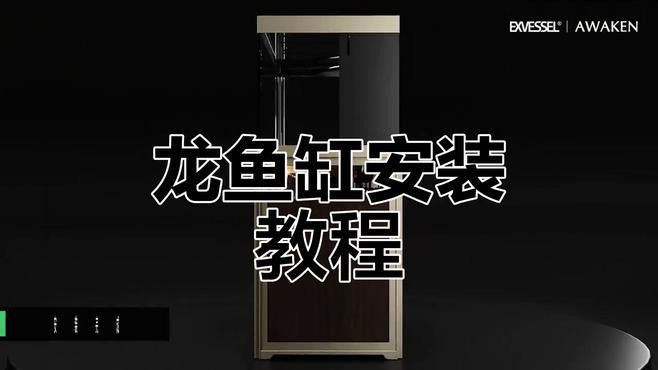 成都龍魚閣水族箱