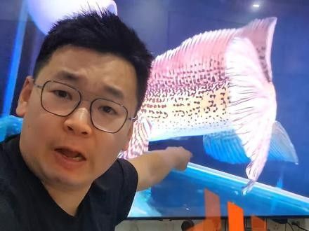 雷龍魚剛入缸