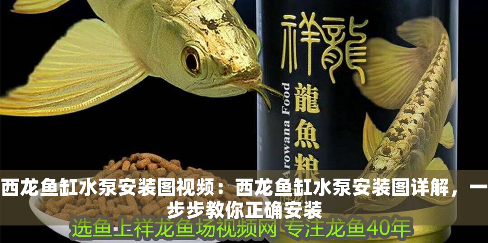 西龍魚缸水泵安裝圖視頻：西龍魚缸水泵安裝圖詳解，一步步教你正確安裝